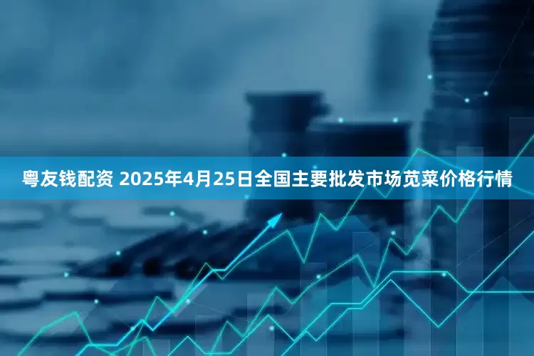 粤友钱配资 2025年4月25日全国主要批发市场苋菜价格行情
